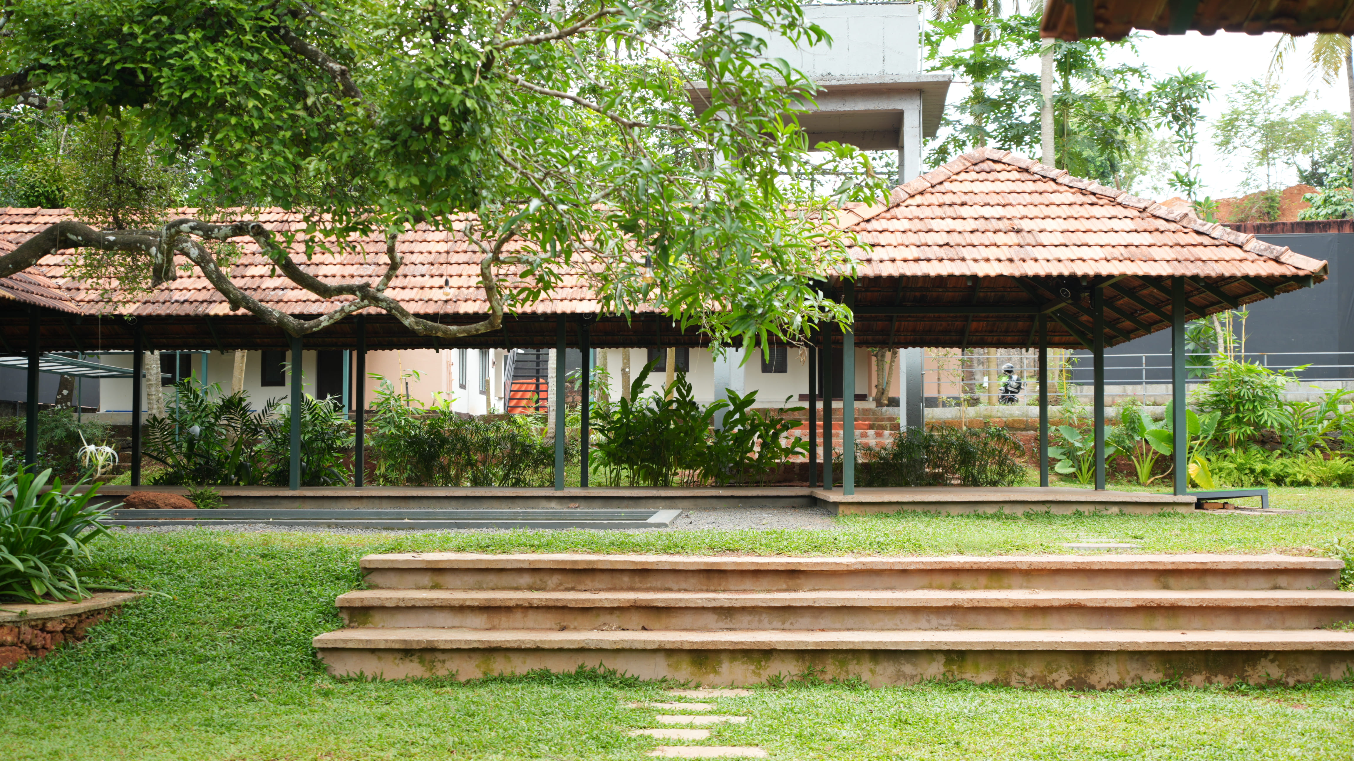 Tranquil reflecting pool nestled within lush greenery