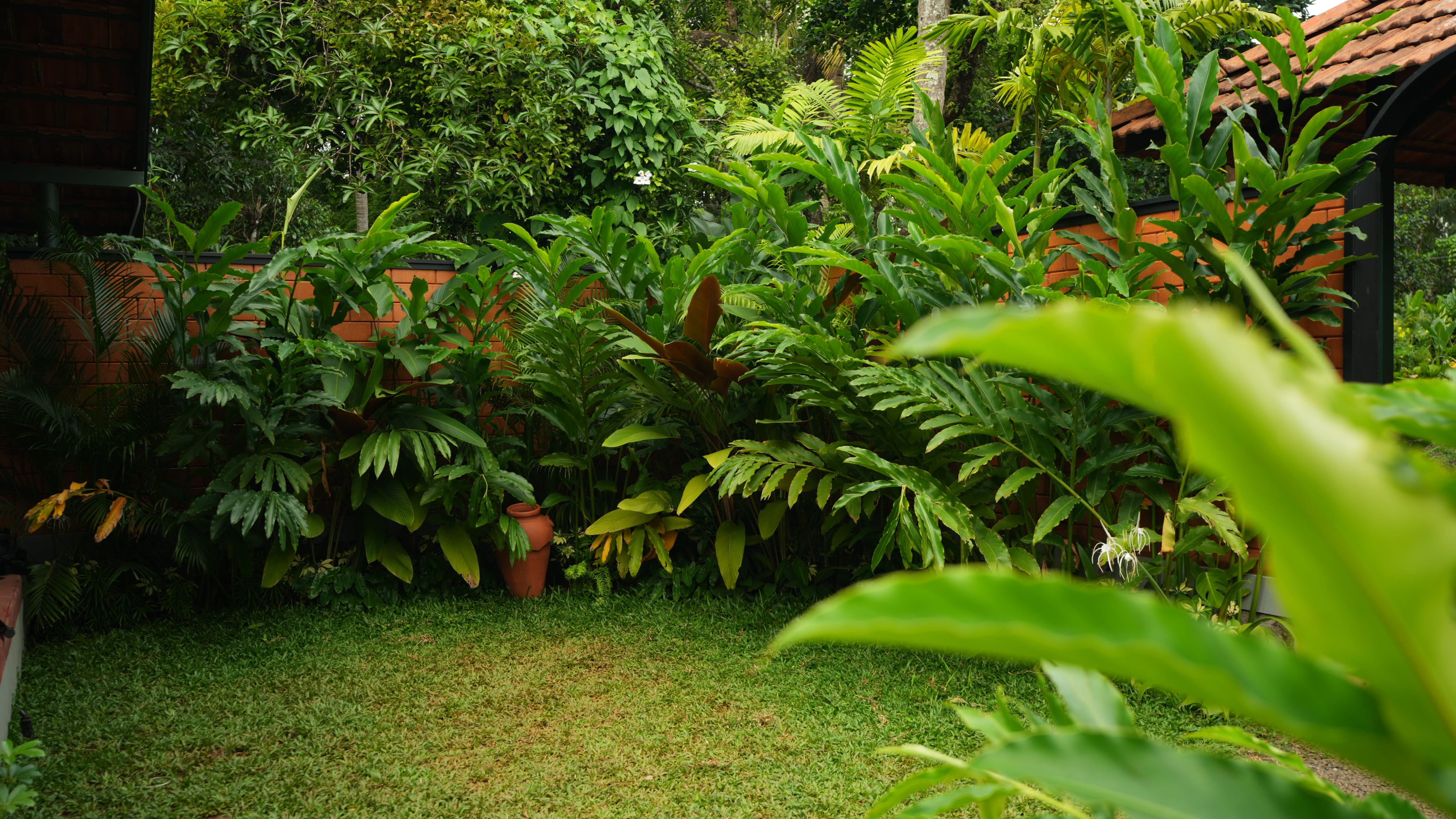Lush greenery at Idam, the best intimate destination in Kerala